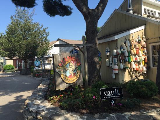 Vault Coffee Roasters